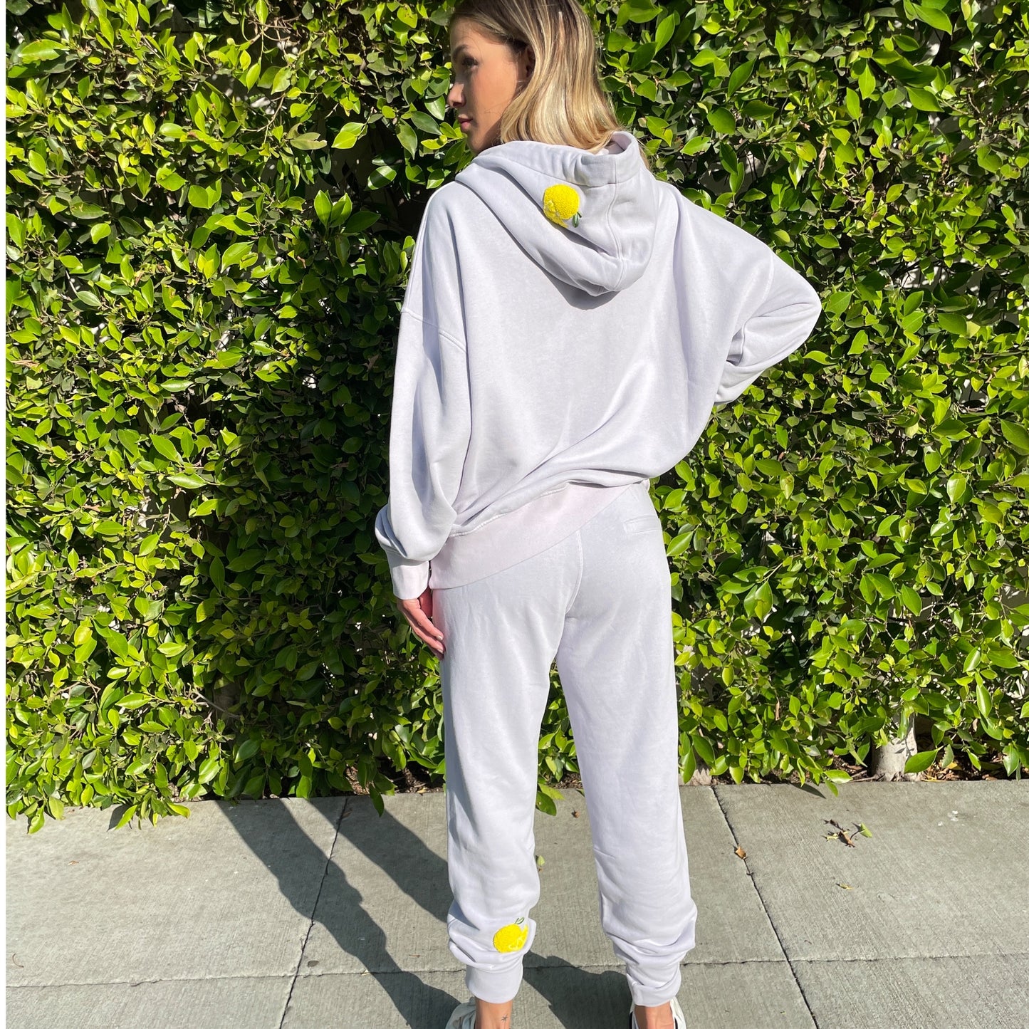 Hoodie Haze