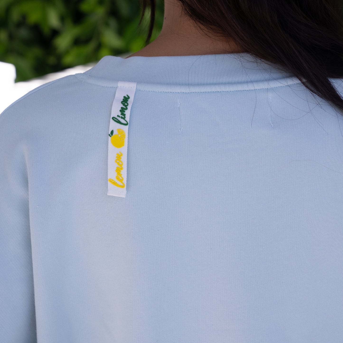 Sweatshirt Ice Melt