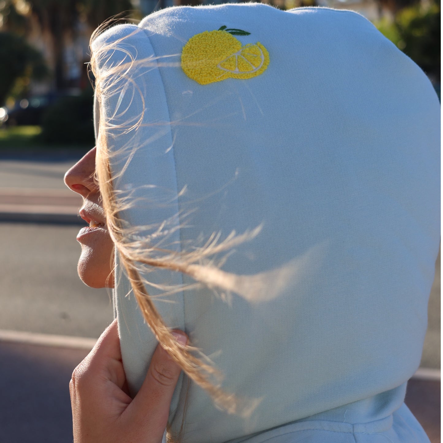 Hoodie Ice Melt