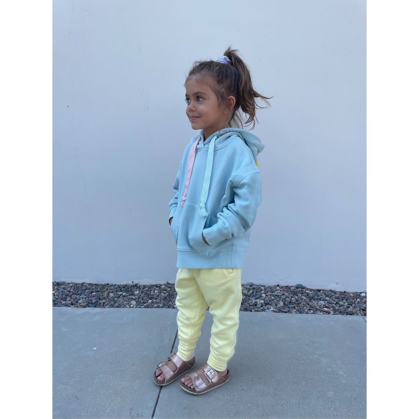 Kids Hoodie Ice Melt